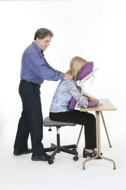 Pisces Productions Dolphinette Desk Topper™