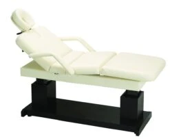 Paragon® Laguna Electric Treatment Table
