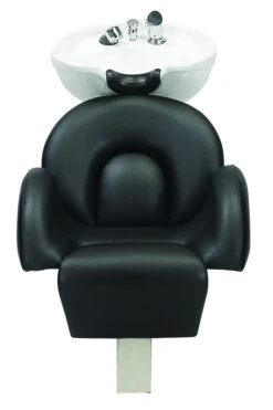 Paragon® Shampoo Backwash System™ -Home Care Products Shop 272 0285c 1