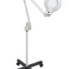 5X Magnifying Lamp With Stand