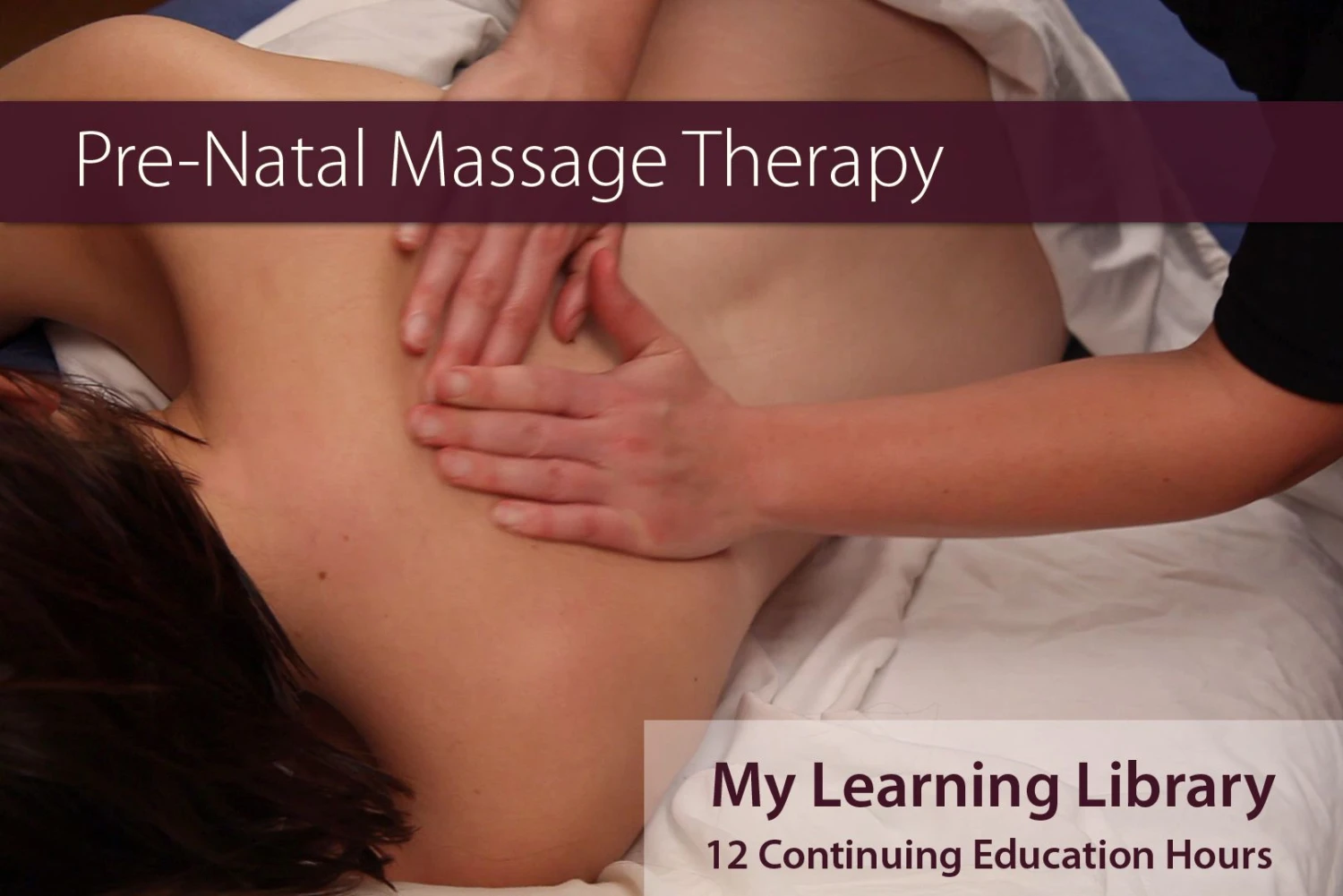 Prenatal Massage CEU Course - NCBTMB Approved - Each 2 Prenatal Massage CEU Course - NCBTMB Approved - Each - Image 2