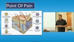 Learn2Tape K-Cuts™ Taping System ECourse With Book -Home Care Products Shop 5690155gl