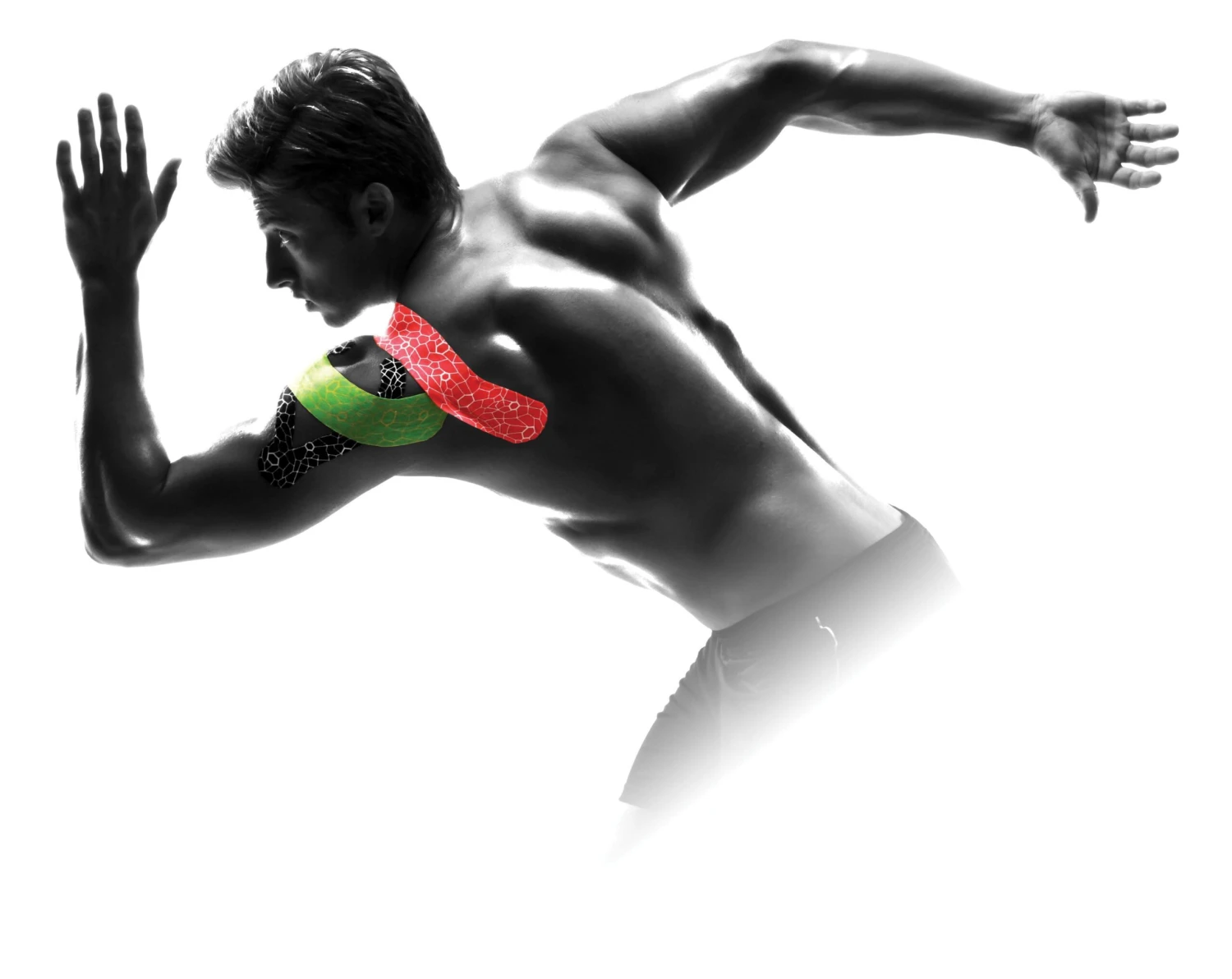 TheraBand® Kinesiology Tape Standard Roll, 2" X 16.4' - 6 Pack 2 TheraBand® Kinesiology Tape Standard Roll, 2" X 16.4' - 6 Pack - Image 2